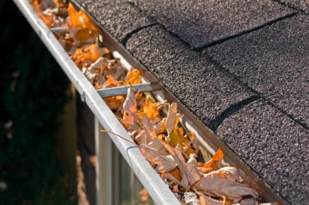 Gutter cleaning fayetteville