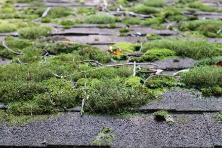 Roof debris removal